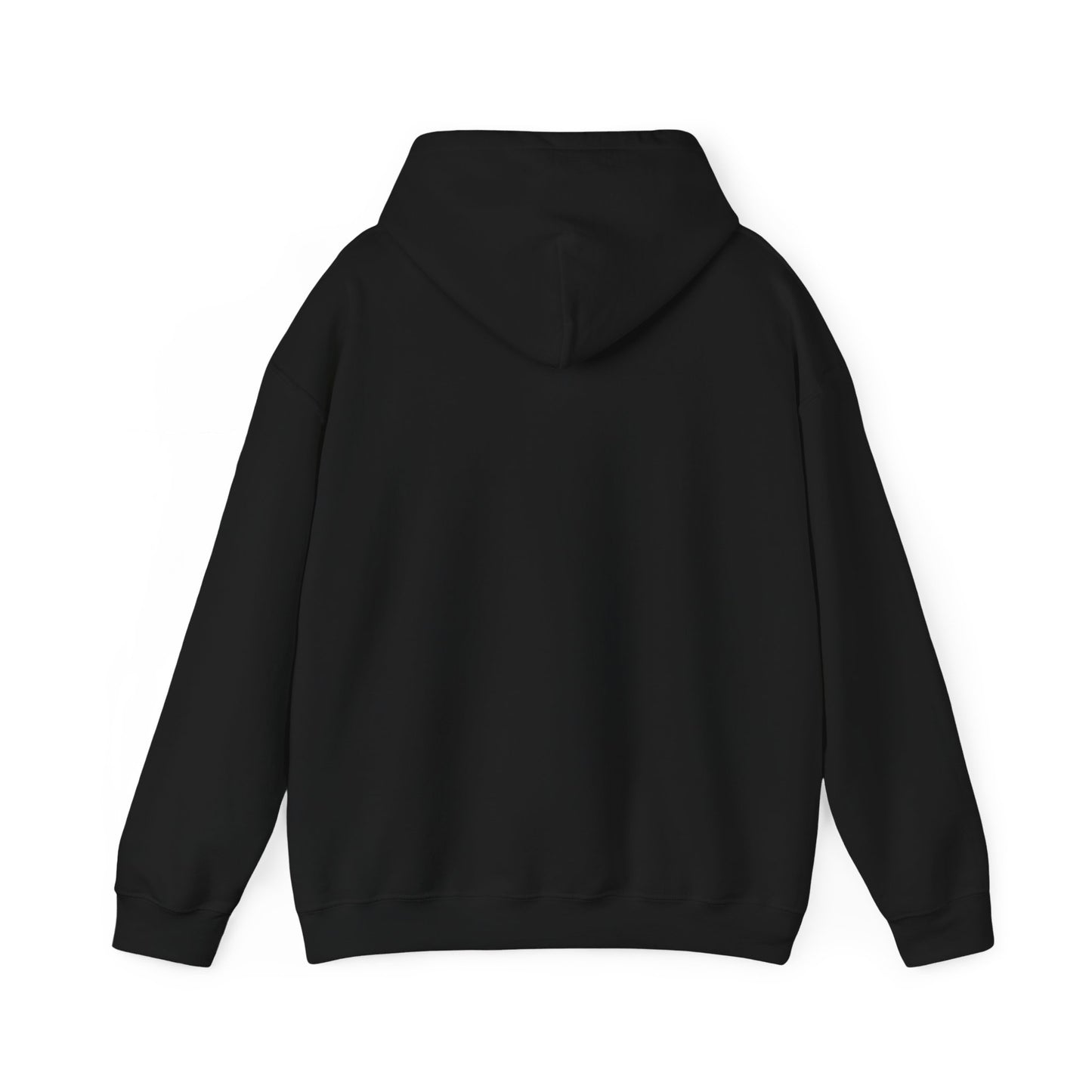 Dnd Shirt Hoodie Jumper 'Fuck Around and Find Out' Gift For DM or Dungeons and Dragons Player Group, Bard, Wizard, Warlock Drow, BG3