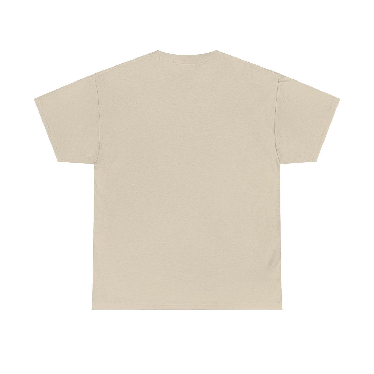 Dnd T-Shirt, lustiges Geschenk für DM, Roll High Or Die