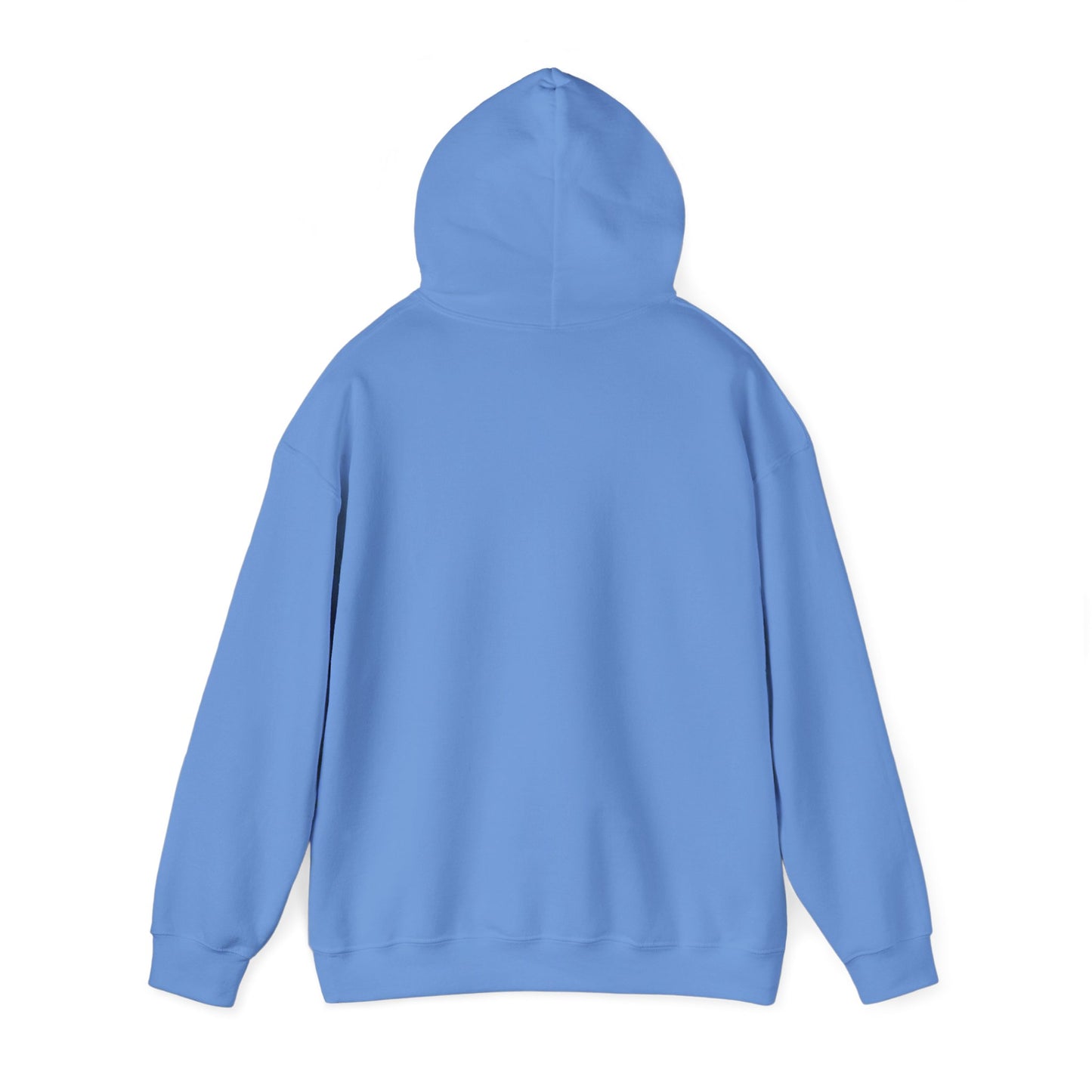 Dnd Shirt Hoodie Jumper 'Fuck Around and Find Out' Gift For DM or Dungeons and Dragons Player Group, Bard, Wizard, Warlock Drow, BG3