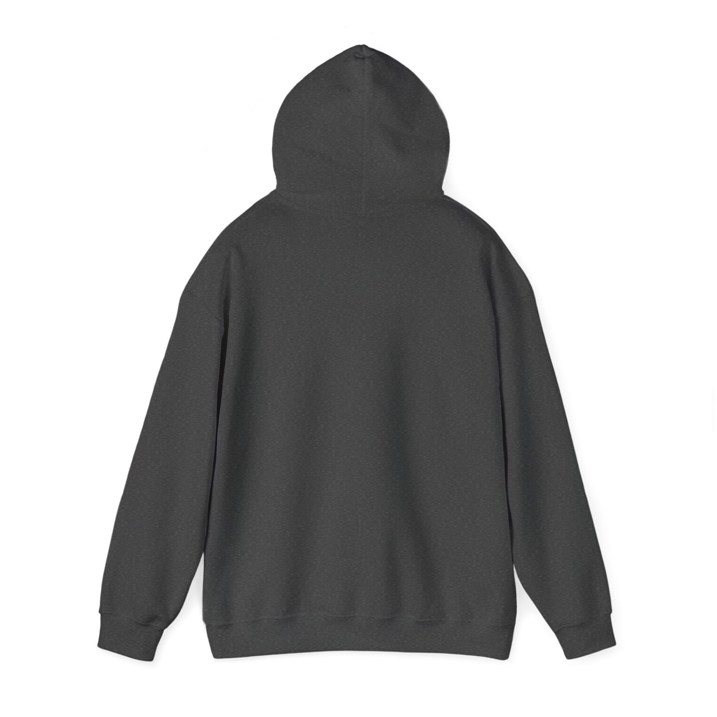 Pendle Hill Hexenprozesse Kapuzenpullover