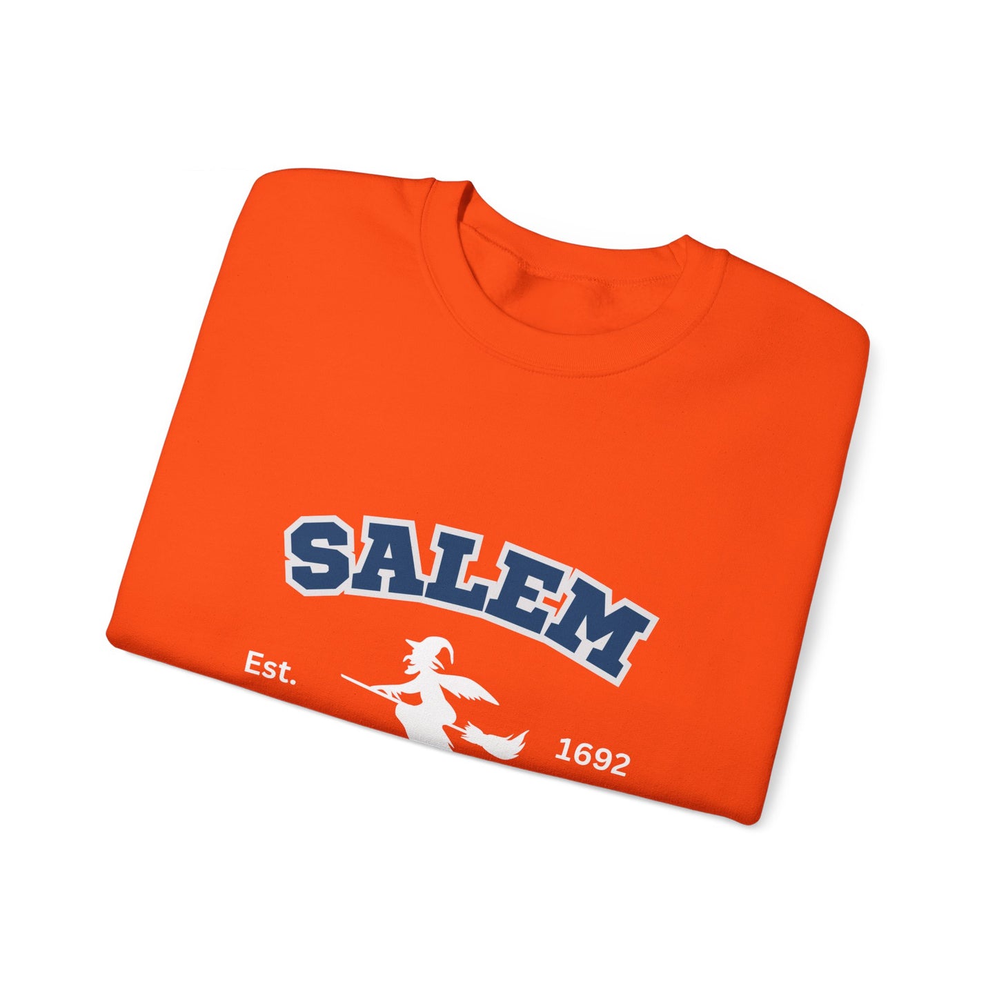 Sweat-shirt style universitaire Salem 1962 Ils en ont raté un